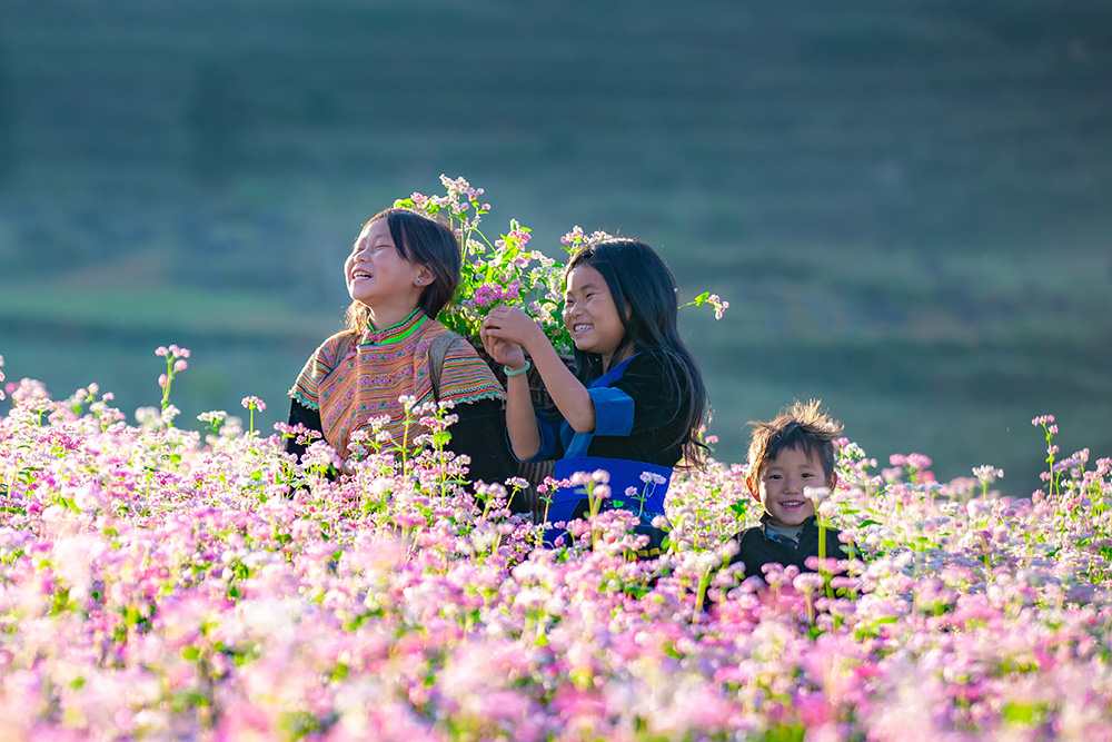 Explore Ha Giang in winter